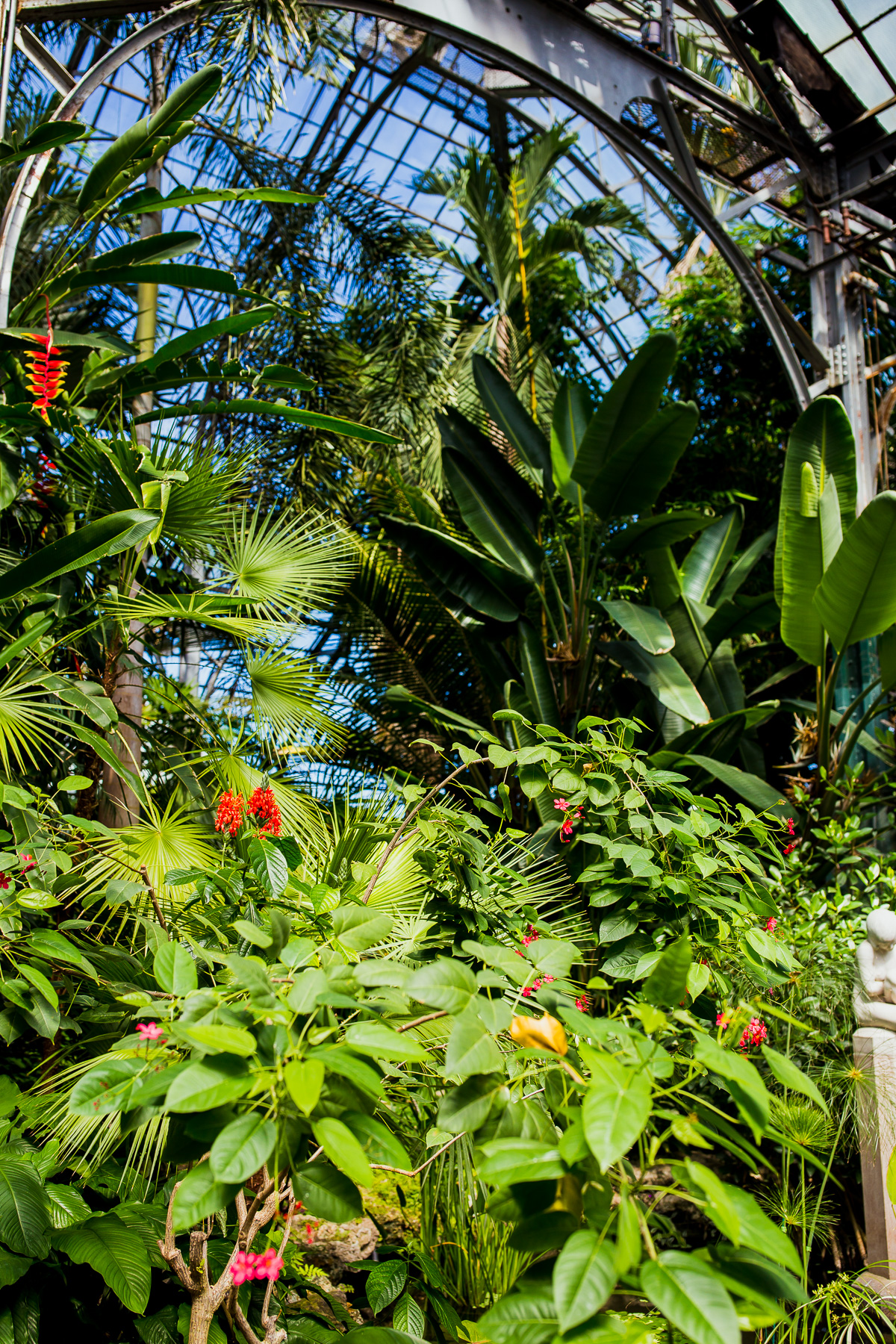 LP Conservatory Chicago
