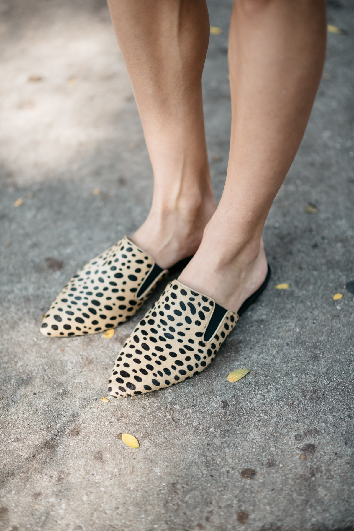 leopard mules