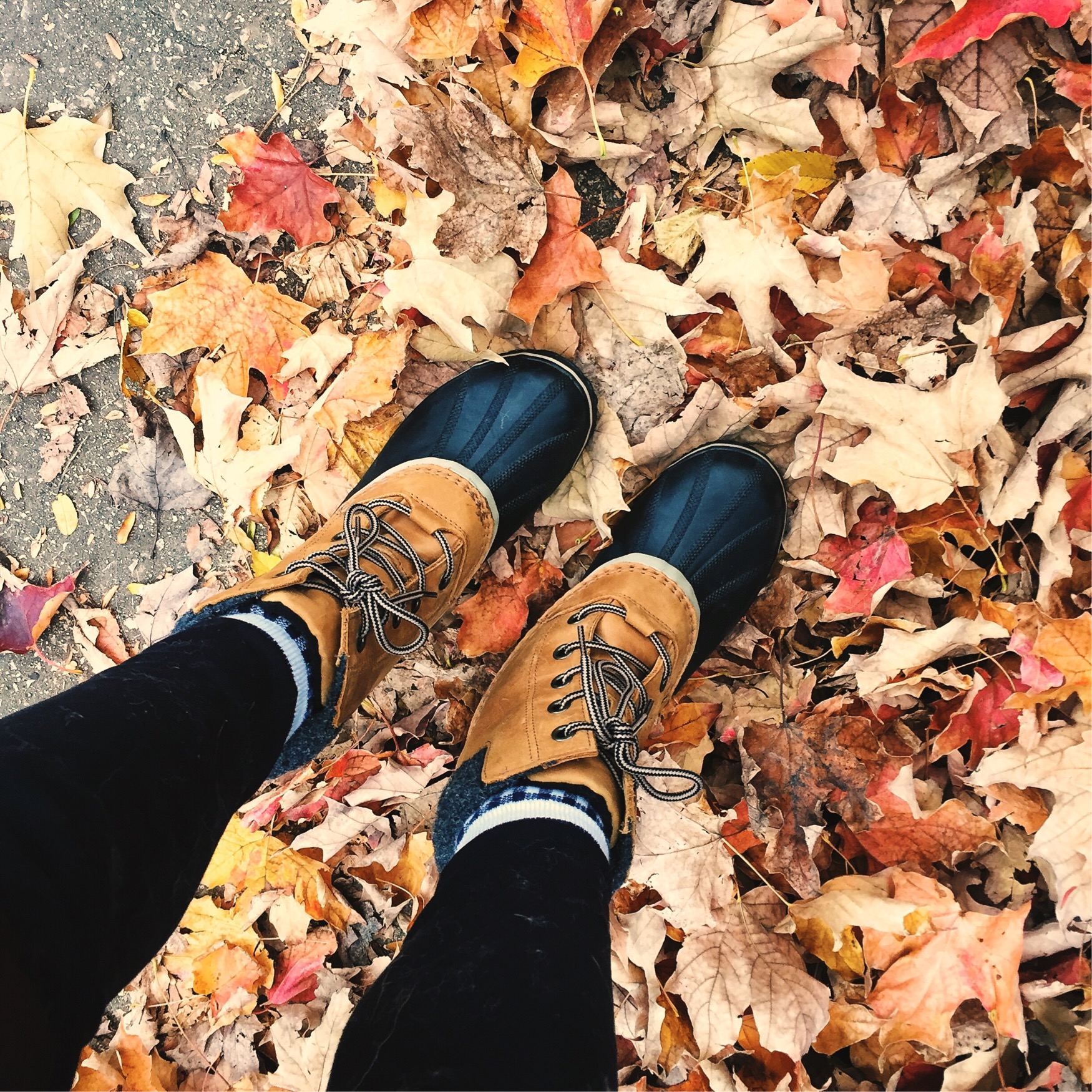 cute winter boots