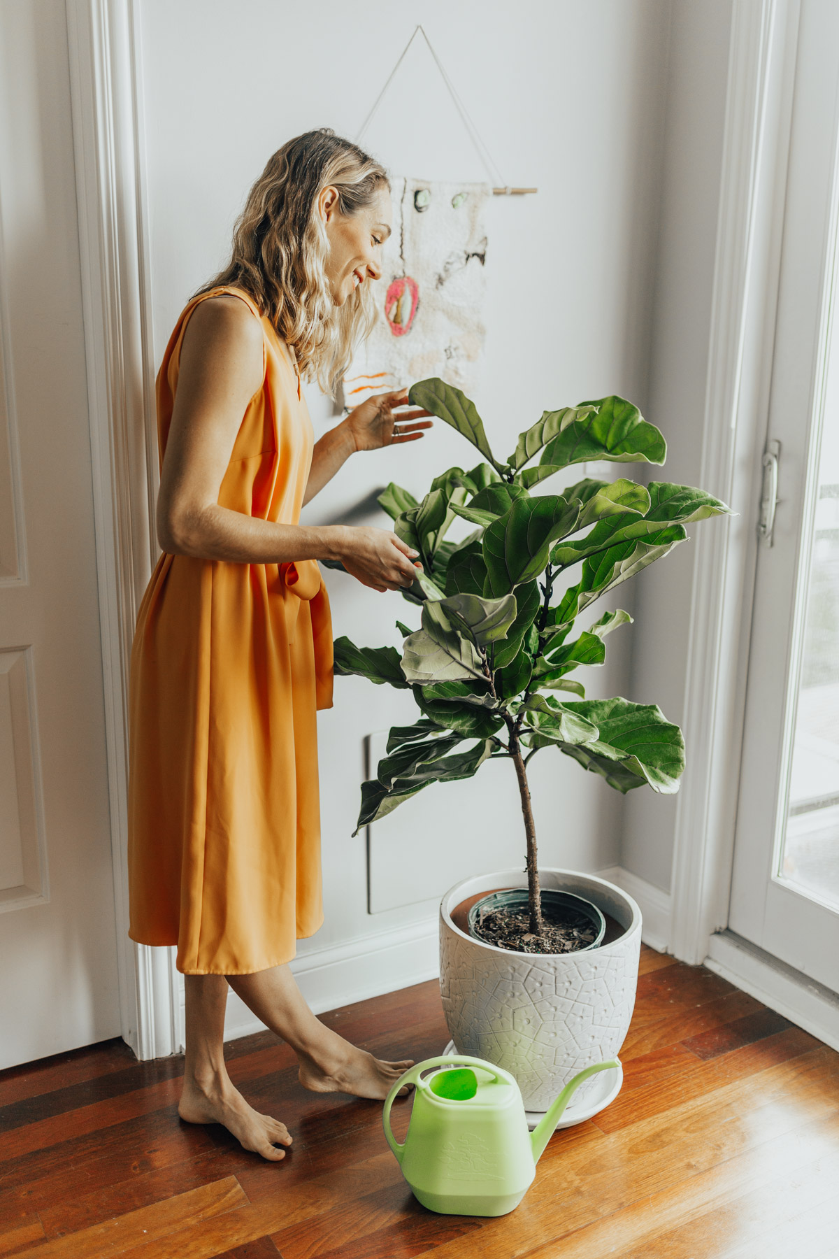 How to Care for your Fiddle Leaf Fig Tree, from an Expert