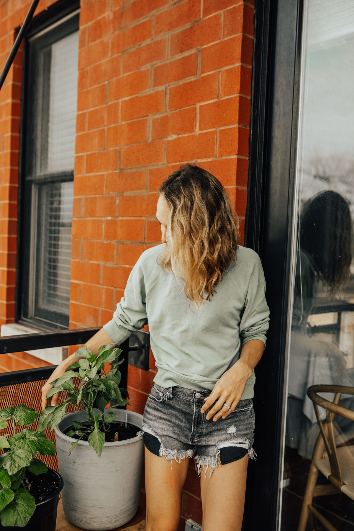 everlane sweatshirt