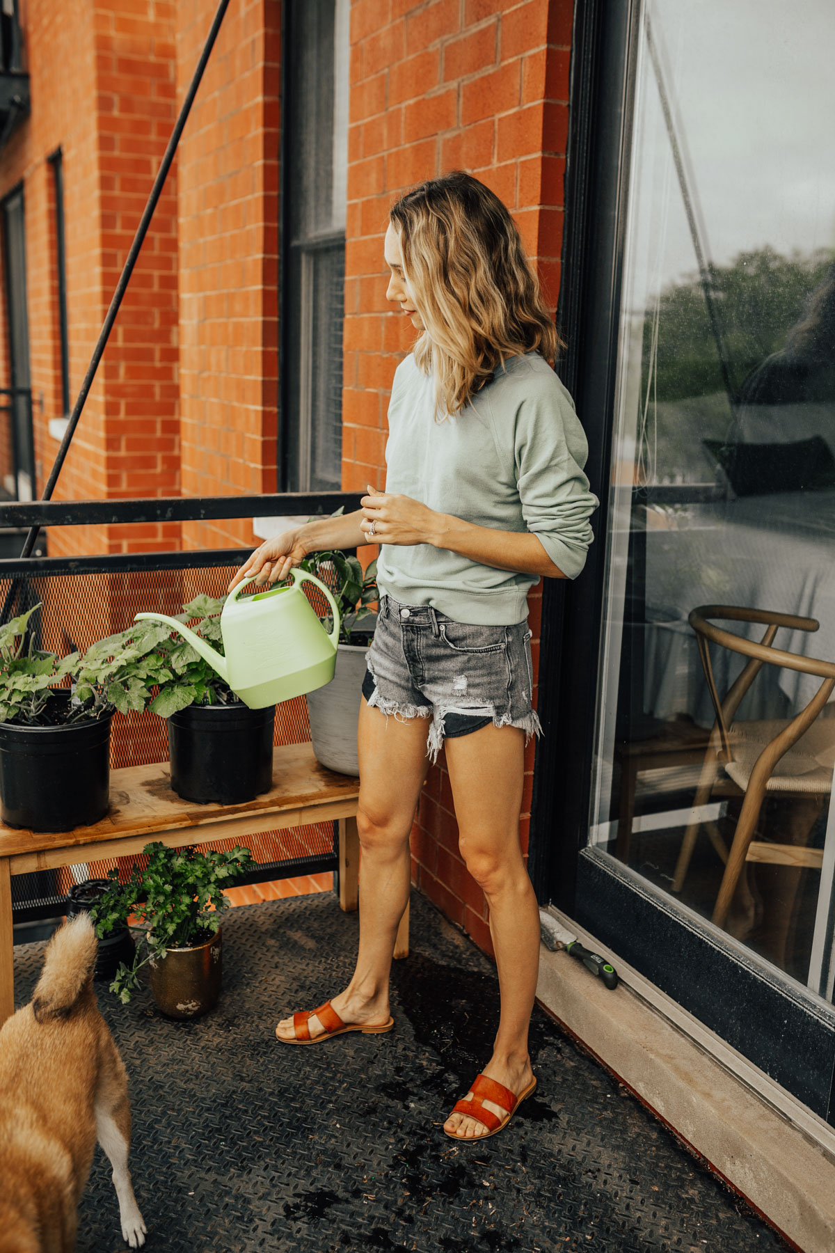 how to garden in the city