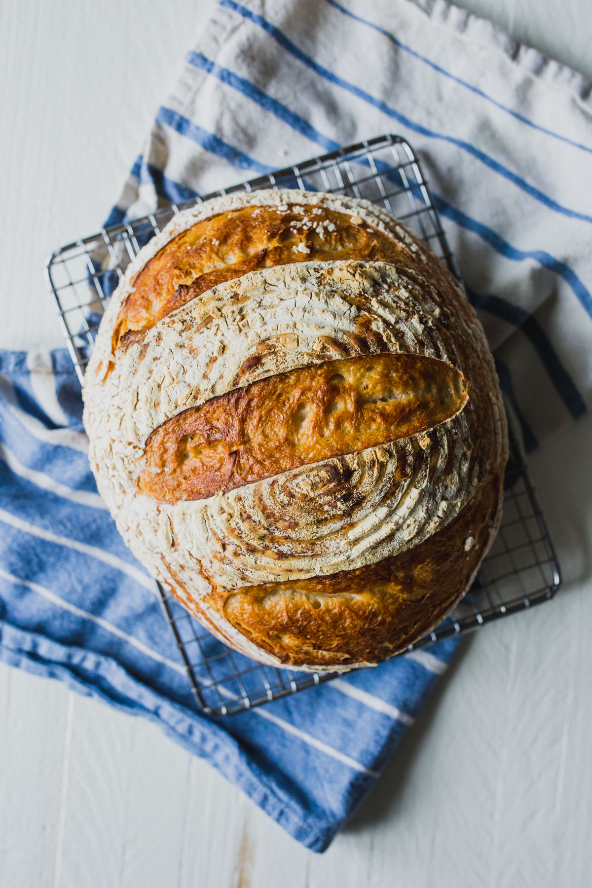 Incredible crust: bread-baking in a cloche - Artisan Bread in Five