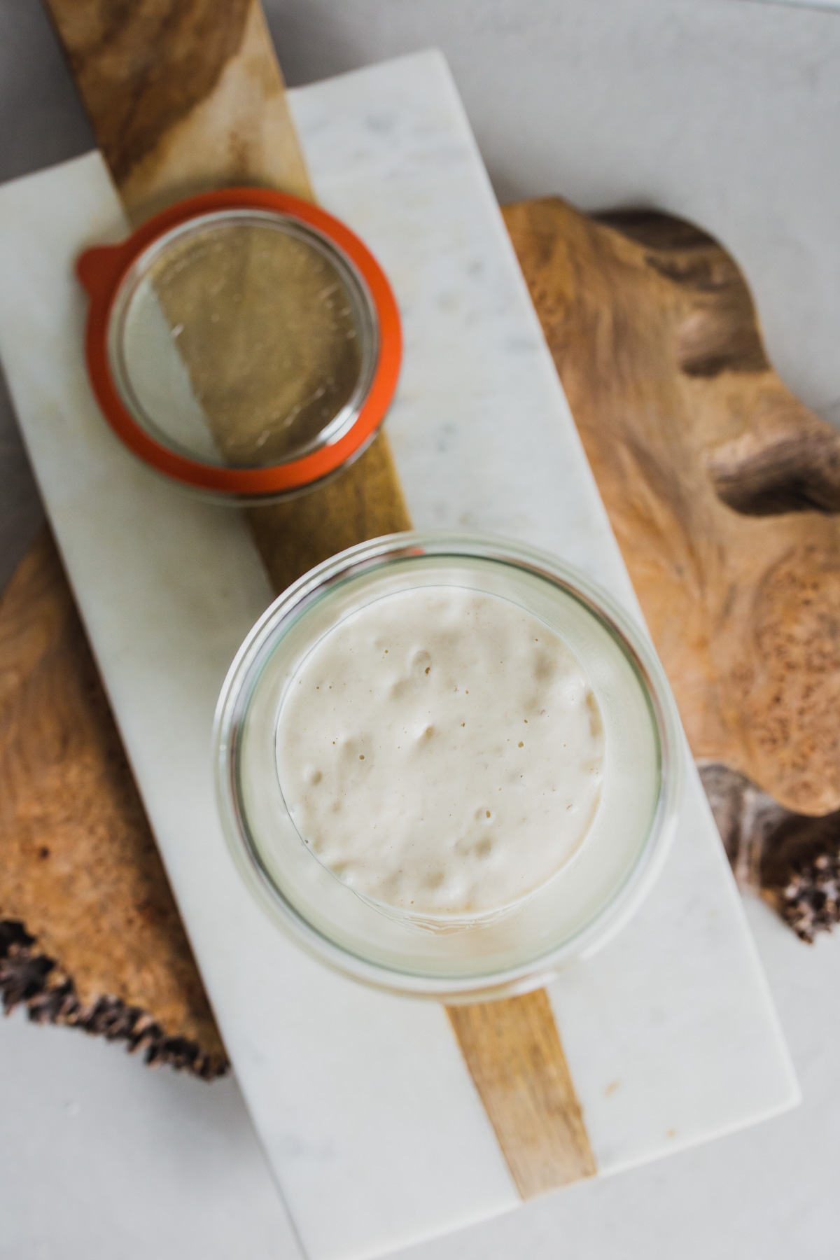 sourdough bread starter