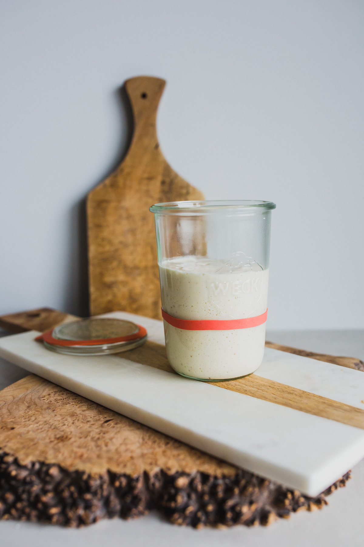 sourdough bread starter