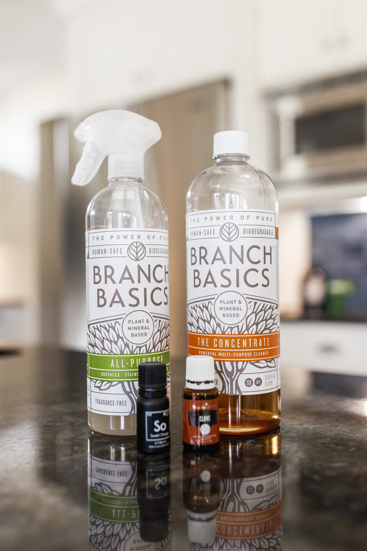 non-toxic house cleaner