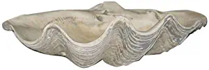 clamshell bowl