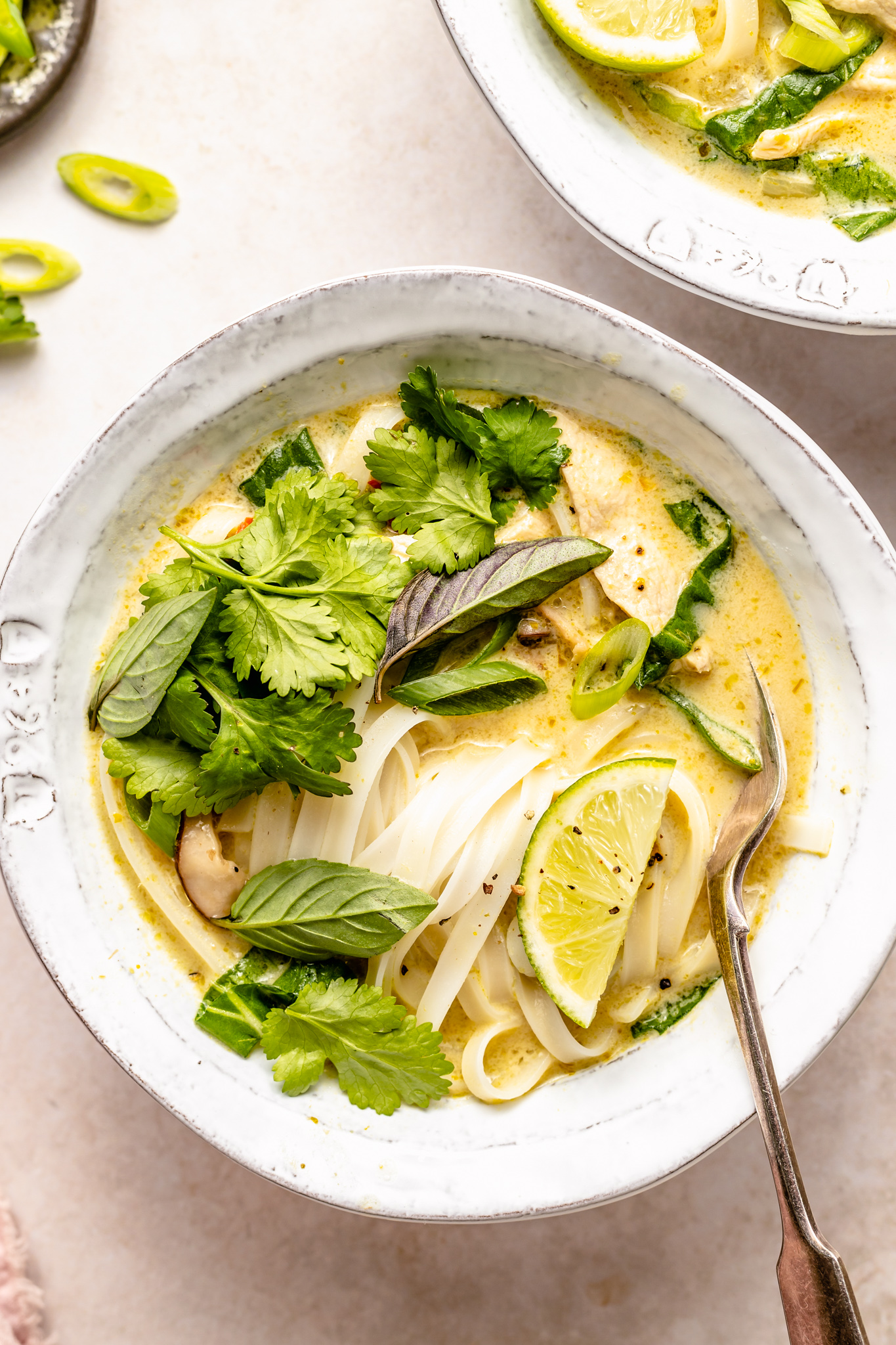 green curry chicken noodle soup