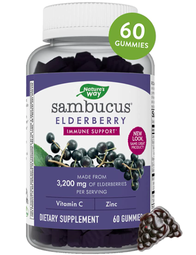 elderberry immune system booster supplement
