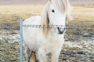 3 Days in Iceland